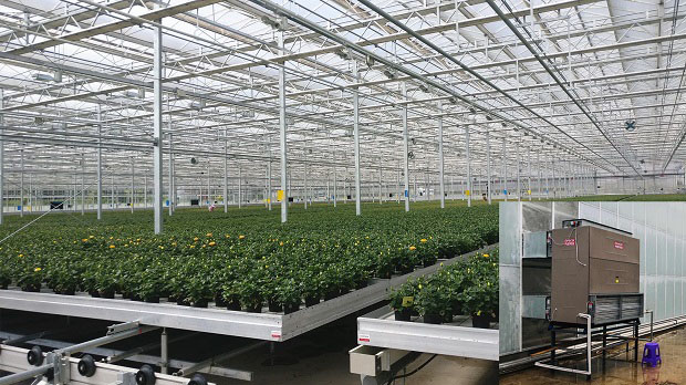 PHNIX Launches New Energy-saving Heat Pump Heating and Cooling Solution for Greenhouse Application